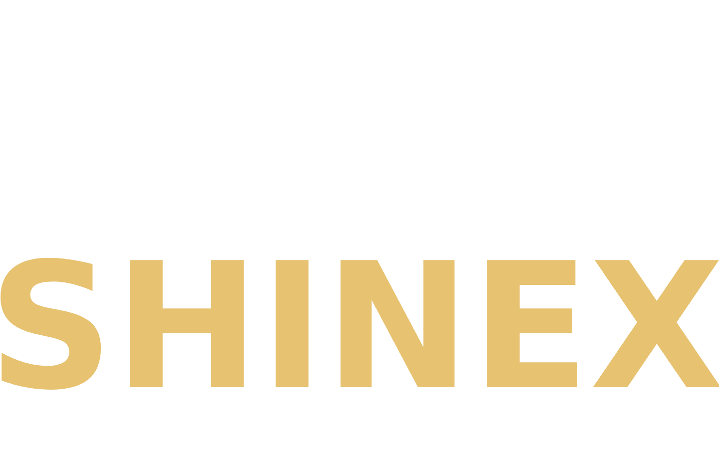Logo ShineX-Detailing