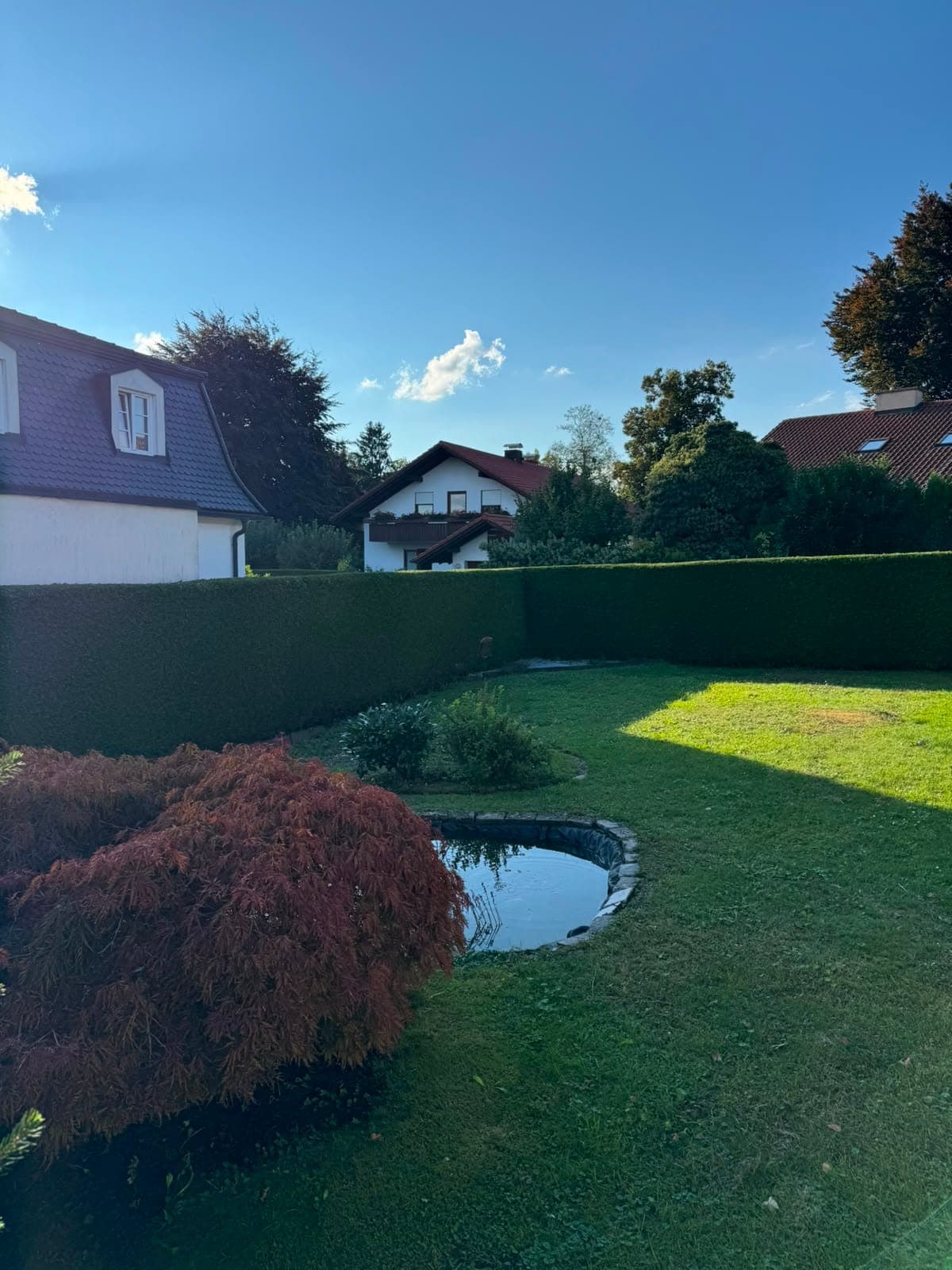 Garten mit gemähtem Rasen, Teich und Hecke