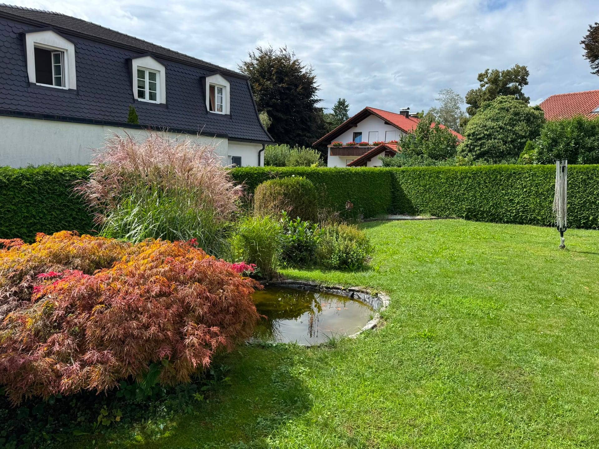 Gepflegter Garten mit Rasen, Teich, rotem Ahorn und langer Hecke
